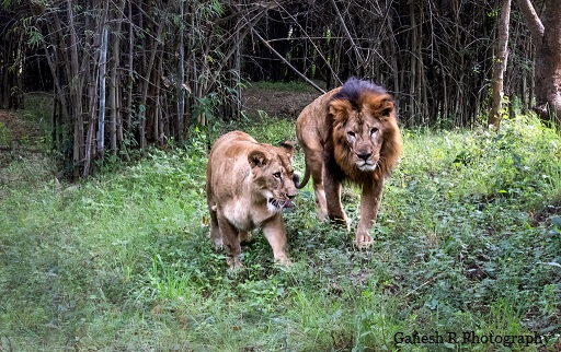 Empathy: we do this together